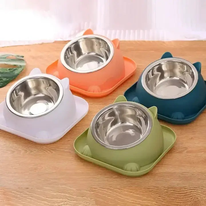 Feeding & Bowls