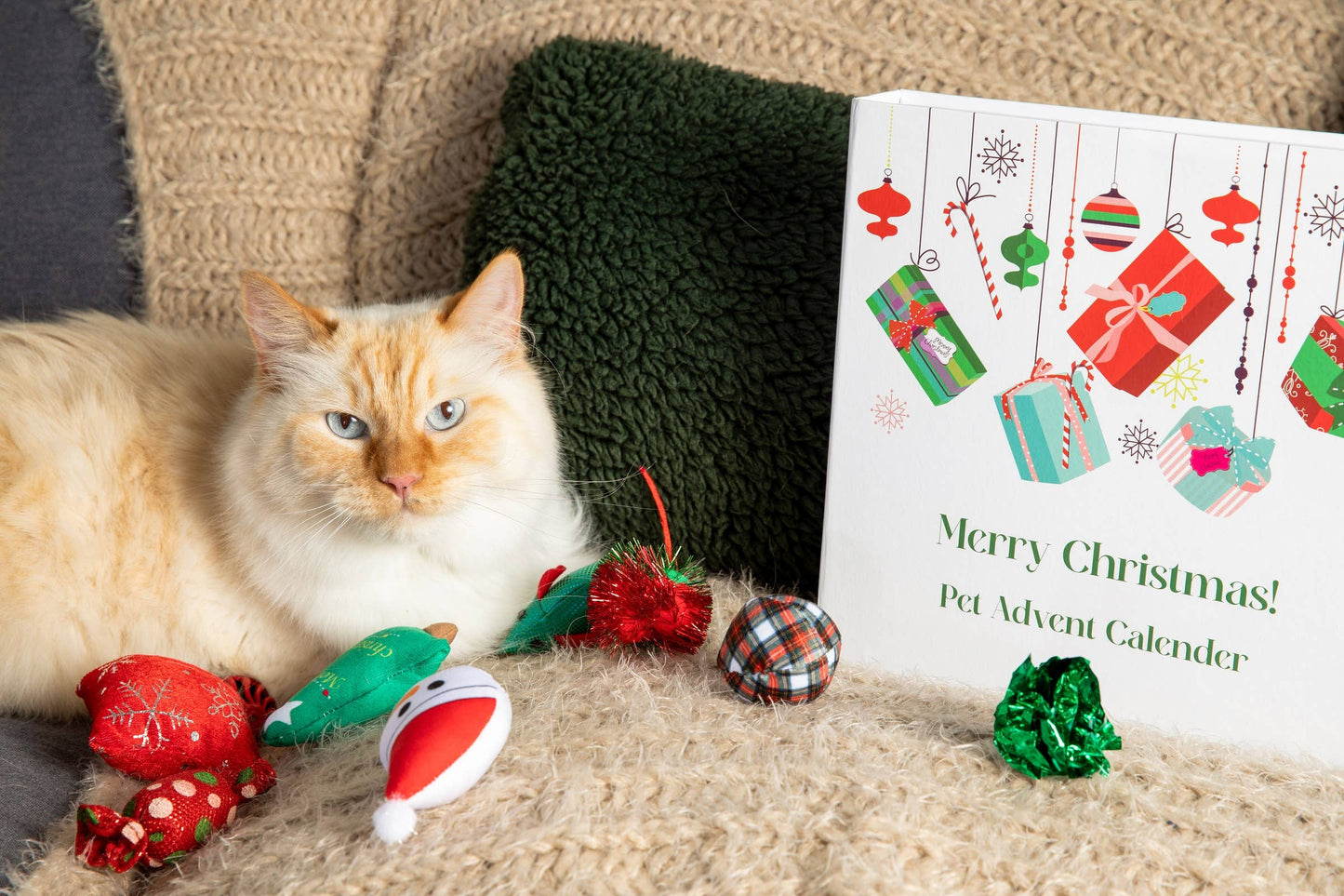 Midlee 12-Day FILLED Christmas Advent Calendar for Cats
