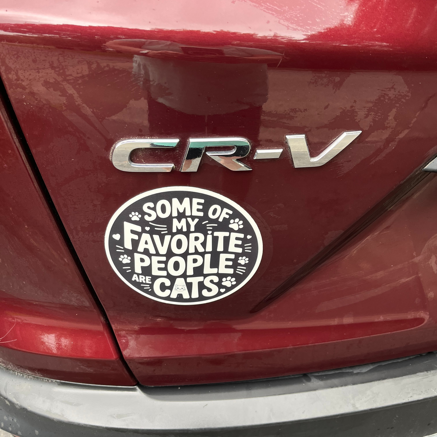 Some Of My Favorite People Are Cats - Car Magnet