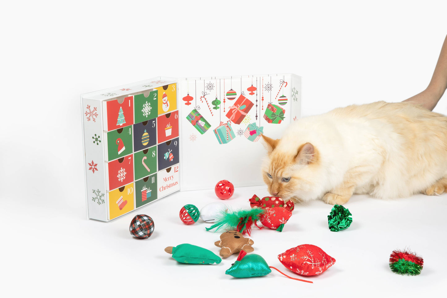 Midlee 12-Day FILLED Christmas Advent Calendar for Cats
