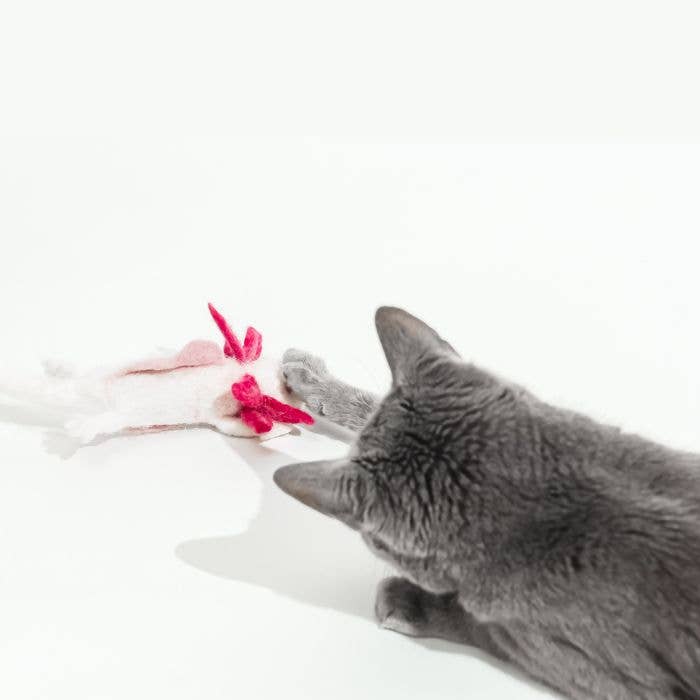 Wool Axolotl Cat Toy with a 5-Foot Long Tether