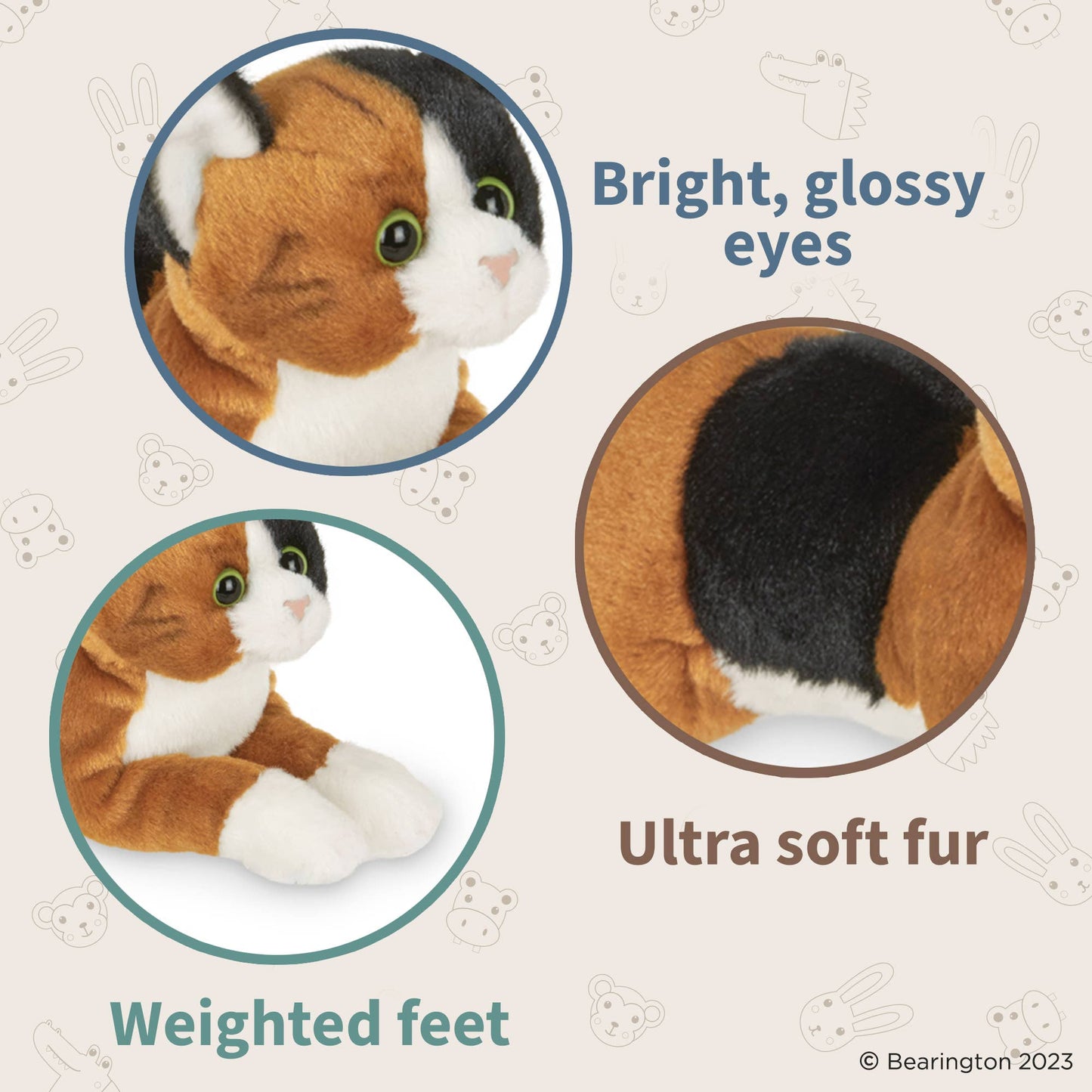 Callie the Calico Cat