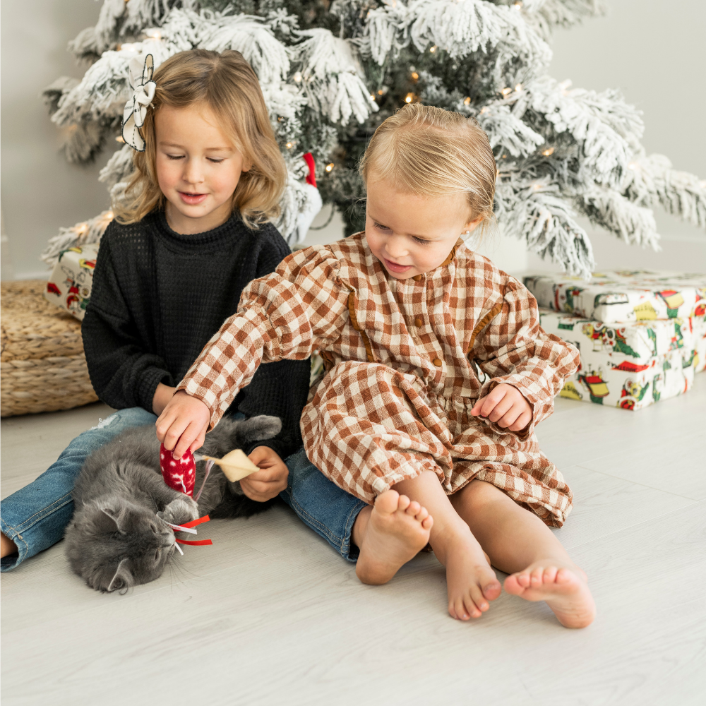 Christmas Stocking for Cats with Three Holiday Cat Toys