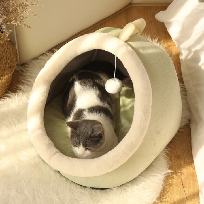 Warm Creative Dino Shaped Cat Bed