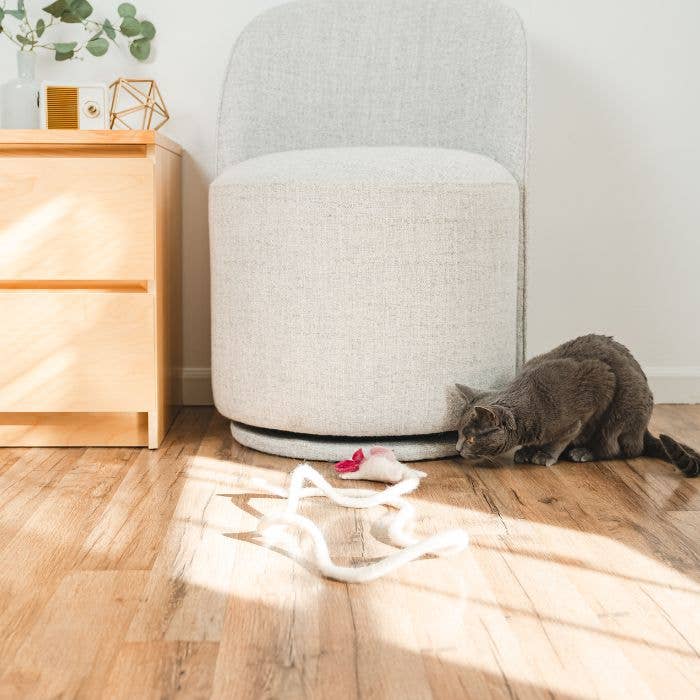 Wool Axolotl Cat Toy with a 5-Foot Long Tether