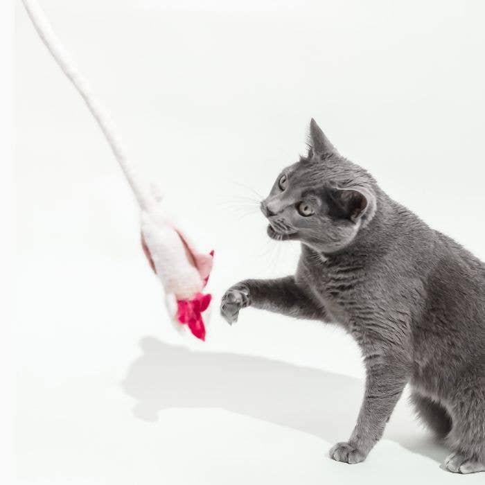 Wool Axolotl Cat Toy with a 5-Foot Long Tether