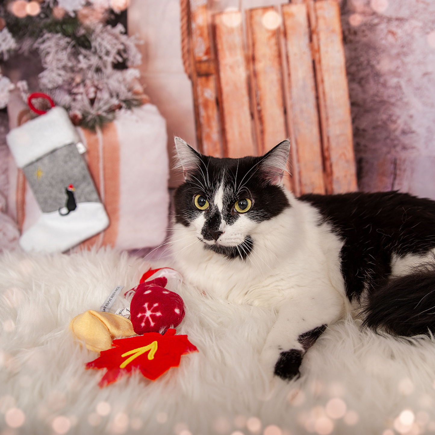 Christmas Stocking for Cats with Three Holiday Cat Toys